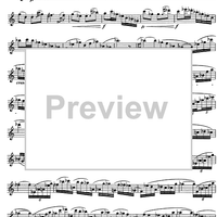 The Accomplished Clarinettist Vol. 2 - Clarinet