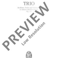 Piano Trio No. 3 C minor in C minor - Full Score