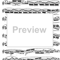 The Accomplished Clarinettist Vol. 2 - Clarinet