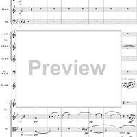 Violin Concerto No. 1, Movement 1 - Score