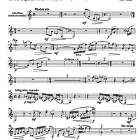 Trio Capriccioso - Vibraphone
