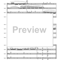 Flight of the Bumblebee - Score