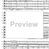Allegro (from Concerto in B minor) - Score
