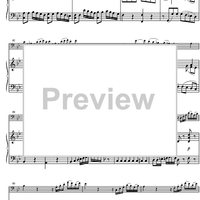 Concerto Bb Major KV191 - Score