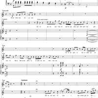 Ah se de' mali miei: No. 21 from "Tancredi", Act 2, Scene 8 - Score