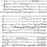 Flute Concerto No. 1 in G Major K285c (K313) - Full Score