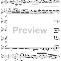 Sonata No. 1 in D Minor, Op. 42