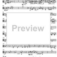 Jubilee Concerto for Celeia - Viola