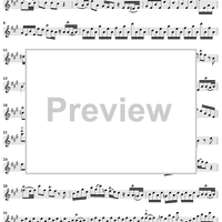 Sonata No. 5 in A Major - Flute