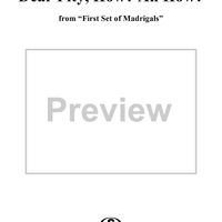 Dear Pity, How, Ah, How?