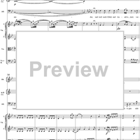 "Ihr Mächtigen seht ungerührt", No. 14 from "Zaide", Act 2, K336b (K344) - Full Score