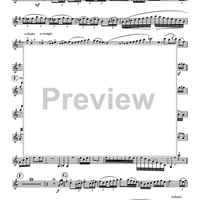 Polka Fantastic - Solo Euphonium BC/TC
