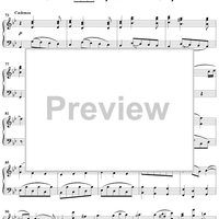 Concerto No. 6 in B-flat Major "Harp Concerto"  Op. 4, No. 6, HWV294 - Harp