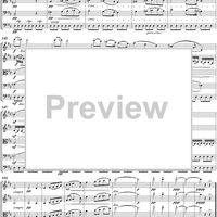 Serenade for String Orchestra in C major (C-dur). Movement III, Elegia - Score