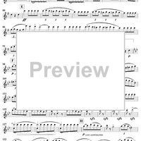 Spanish Dance in G Minor, Op. 12, No. 2 - Flute