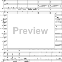 Symphony No. 40 in G Minor, Movement 1 - Full Score