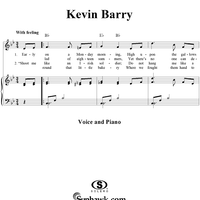 Kevin Barry