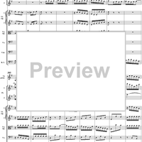 Brandenburg Concerto No. 4: Allegro - Score