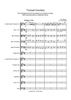 Trumpet Voluntary - Score