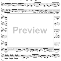 "Gleichwie die wilden Meeres-Wellen", Aria, No. 3 from Cantata No. 178: "Wo Gott der Herr nicht bei uns hält" - Violin