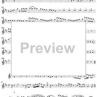 Sonata in D major op. 23, no. 1 - Flute