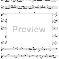 Sonata in D Major - Flute