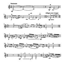 Godalni Quartet - Violin 1