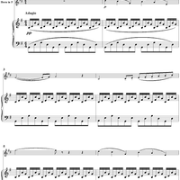 The Swan - Piano Score