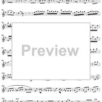 Violin Concerto No. 3 - Solo Violin