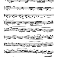 Preliminary studies to 'The Accomplished Clarinettist' Vol. 3 - Clarinet