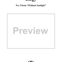 Without Sunlight, No. 5: Elegy
