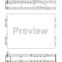 Along the Blackfoot River