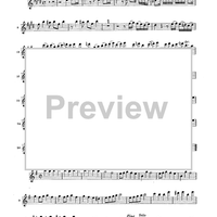 Double Concerto for Recorder and Flute in E minor - Flauto Dolce (Recorder)