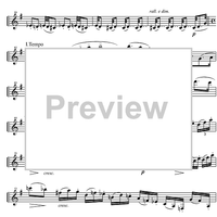 Capriccio No.14 e minor