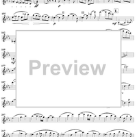 String Quartet No. 12 in C Minor, D703 - Violin 1