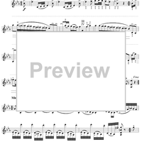 Twenty-Four Caprices: Nos. 13 - 24