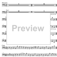 Divertimento No. 2 D Major KV131 - Bassoon