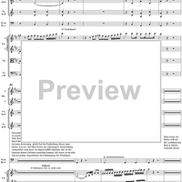 Melodram "Zaide entflohen?" and Aria "Der stolze Löw' lässt sich zwar zähmen", No. 9 from "Zaide", Act 2, K336b (K344) - Full Score