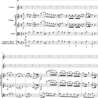 Mass No. 18 in C Minor, No. 5: Domine - Full Score