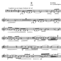 Sonata in D minor - Cello