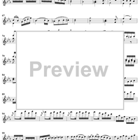 Violin Concerto No. 6 - Solo Violin