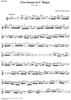 Trio Sonata in C Major QV 2: Ahn. 3 - Recorder