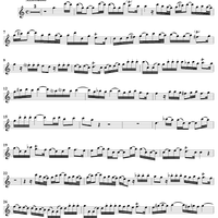 Trio Sonata in C Major QV 2: Ahn. 3 - Recorder