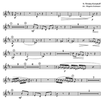 The Flight of the Bumble-Bee from "The Tale of Tsar Sultan" - Euphonium