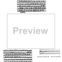 Cadenza Concerto RV208 Grosso Mogul 1st and 3rd movement - Notes