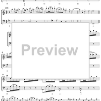 Sonata in C Major   - from "Der Getreue Music-Meister" - Score