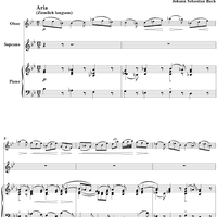 "Seufzer, Tränen, Kummer, Not", Aria, No. 3 from Cantata No. 21: "Ich hatte viel Bekümmernis"