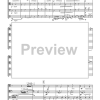 Heroicus Volatus - Score