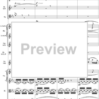 Violin Concerto No. 1, Movement 2 - Score