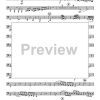 Symphony No. 41, Mvt. IV - Tuba